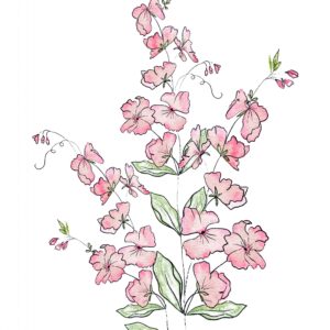 Piggy Sue Sweet Pea