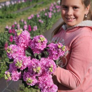 PYO at Belle Bouquets Farm -7am Session