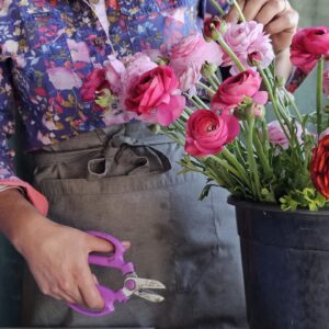 PYO at Belle Bouquets Farm -9am Session