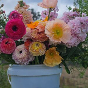 PYO at Belle Bouquets Farm