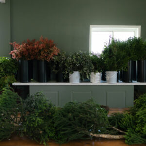 Christmas Wreath Workshop 19th December