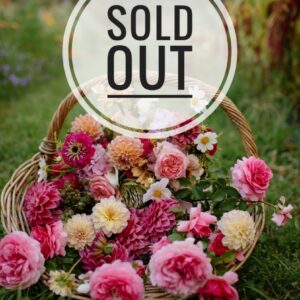 Flower Vase Workshop